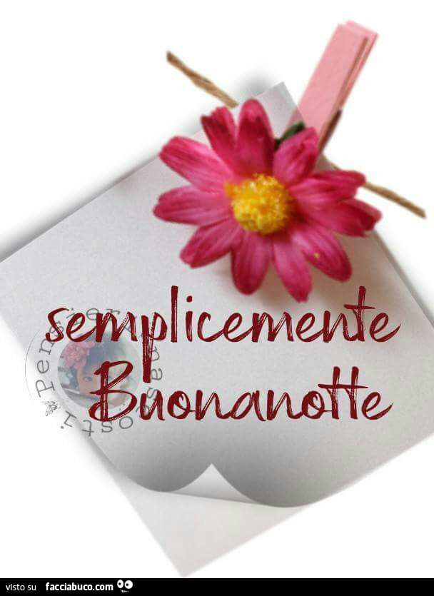 Semplicemente Buonanotte Facciabuco Com