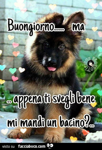 Buongiorno ma appena ti svegli bene mi mandi un bacino?