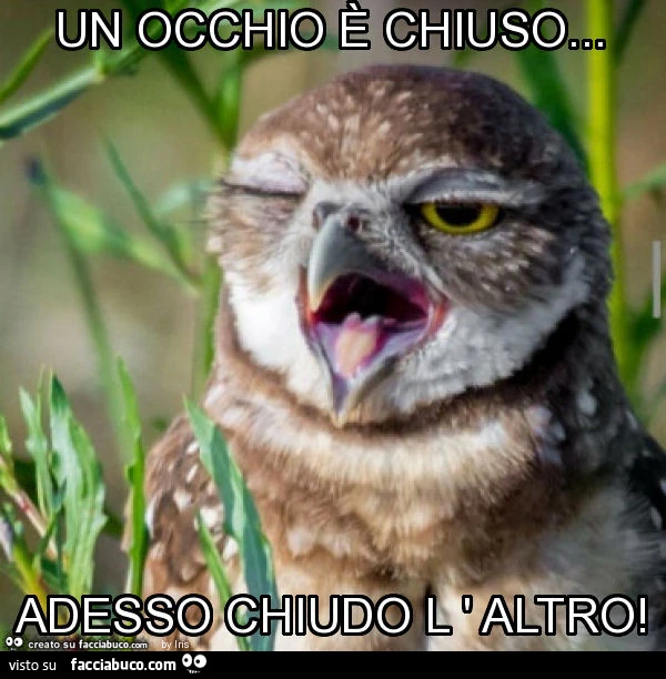 Un occhio è chiuso&hellip; adesso chiudo l ' altro