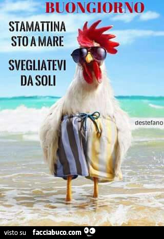 Buongiorno stamattina sto a mare svegliatevi da soli
