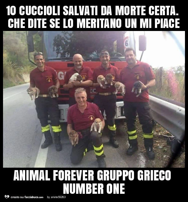 10 cuccioli salvati da morte certa. Che dite se lo meritano un mi piace animal forever gruppo grieco number one