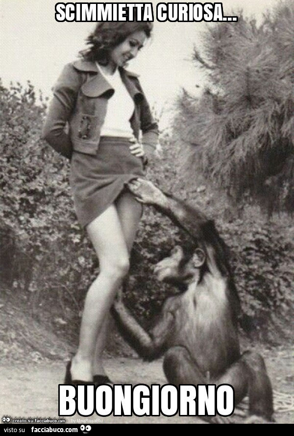 Scimmietta curiosa… buongiorno