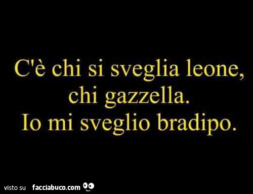 C'è chi si sveglia leone, chi gazzella. Io mi sveglio bradipo