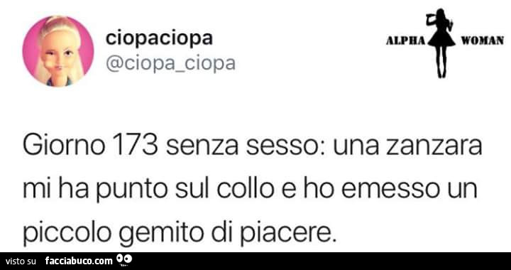 Giorno 173 senza sesso: una zanzara mi ha punto sul collo e ho emesso un piccolo gemito di piacere