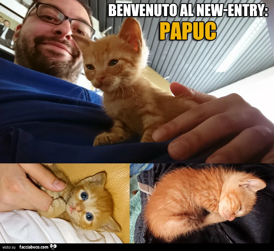 Benvenuto al new-entry: Papuc