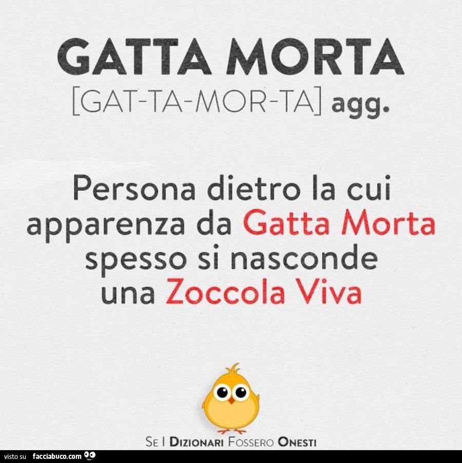 zoccola
