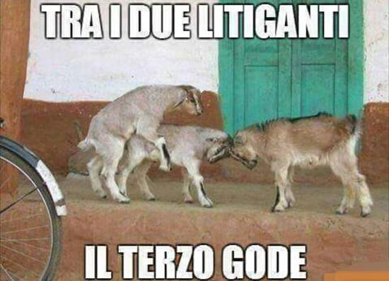 Fra il due litiganti il terzo gode