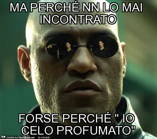 Ma perché nn lo mai incontrato forse perché " io celo profumato"