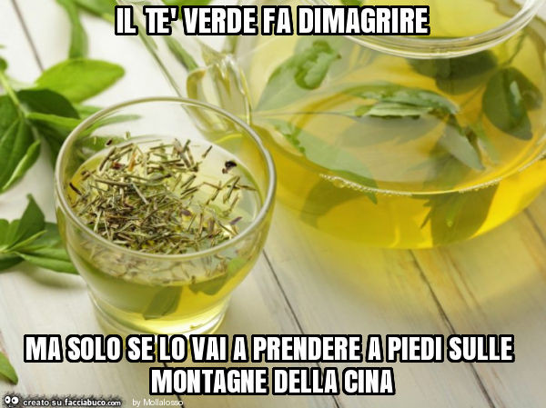 Il tè verde fa dimagrire ma solo se lo vai a prendere a piedi sulle montagne della cina