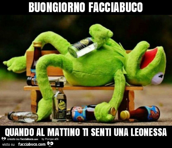 Buongiorno facciabuco quando al mattino ti senti una leonessa