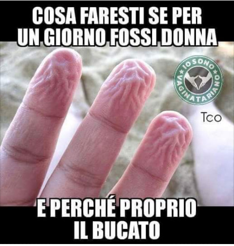 Cosa faresti se per un giorno fossi una donna bucato