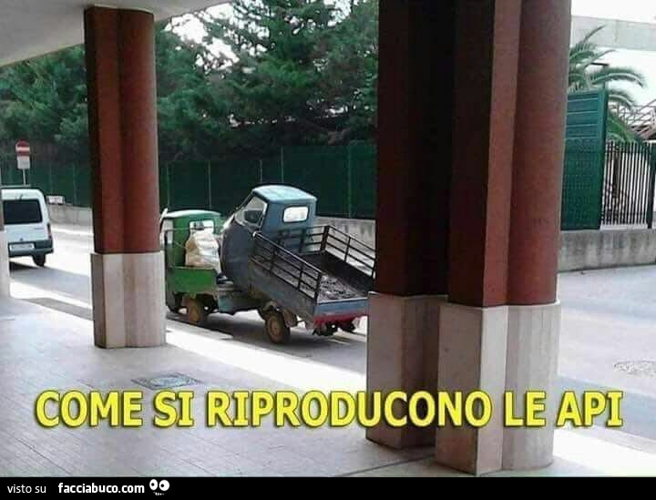 Come si riproducono le API Come si riproducono le API