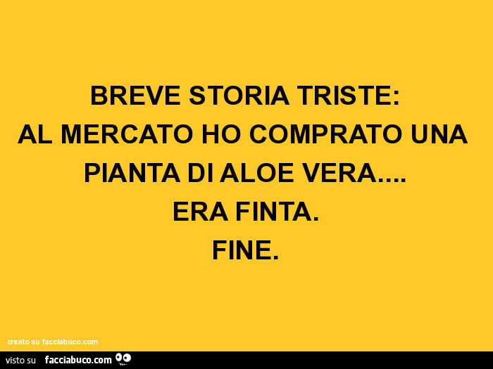 Breve storia triste: al mercato ho comprato una pianta di aloe vera… era finta. Fine