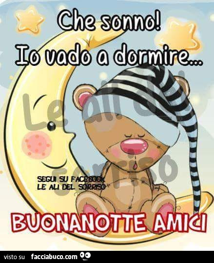 Che sonno! Io vado a dormire. Buonanotte amici