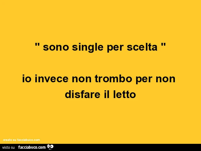 Sono single per scelta. Io invece non trombo per non disfare il letto