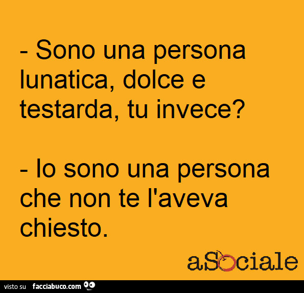 Sono una persona lunatica, dolce e testarda, tu invece? Io sono una persona che non te l'aveva chiesto