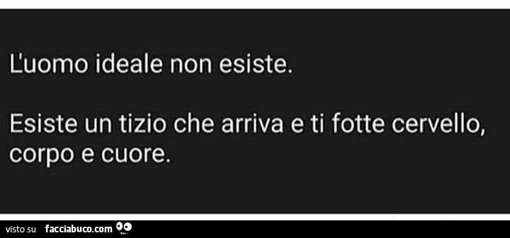 L'uomo ideale non esiste. Esiste un tizio che arriva e ti fotte cervello, corpo e cuore