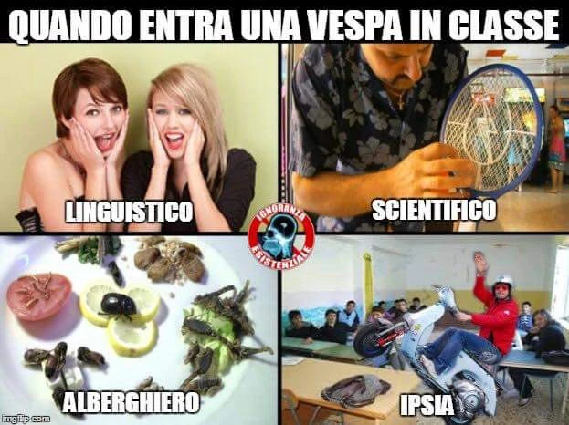 Vaccata