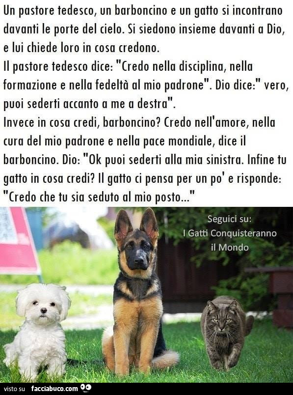 Un pastore tedesco, un barboncino e un gatto si incontrano davanti le porte del cielo. Si siedono insieme davanti a dio, e lui chiede loro in cosa credono. Il pastore tedesco dice: credo nella disciplina, nella formazione e nella fedeltà