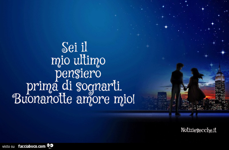 Sei il mio ultimo pensiero prima di sognarti. Buonanotte amore mio
