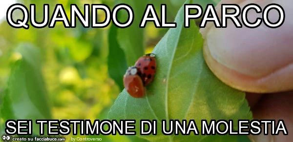 Quando al parco sei testimone di una molestia