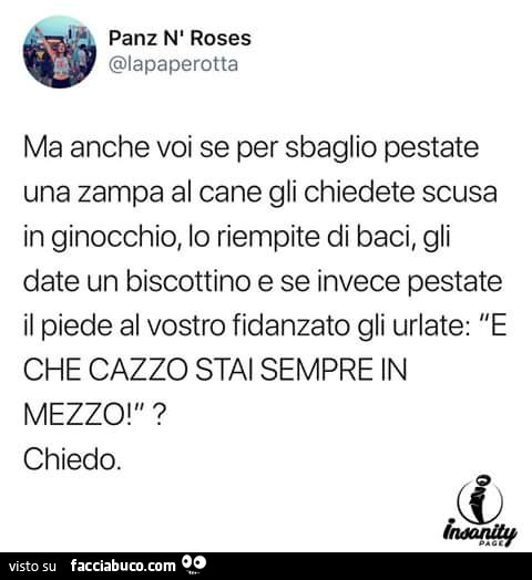 Ma anche voi se per sbaglio pestate una zampa al cane gli chiedete scusa in ginocchio, lo riempite di baci, gli date un biscottino e se invece pestate il piede al vostro fidanzato gli urlate: e che cazzo stai sempre in mezzo!? Chiedo