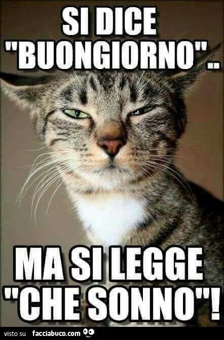Si dice buongiorno. Ma si legge che sonno