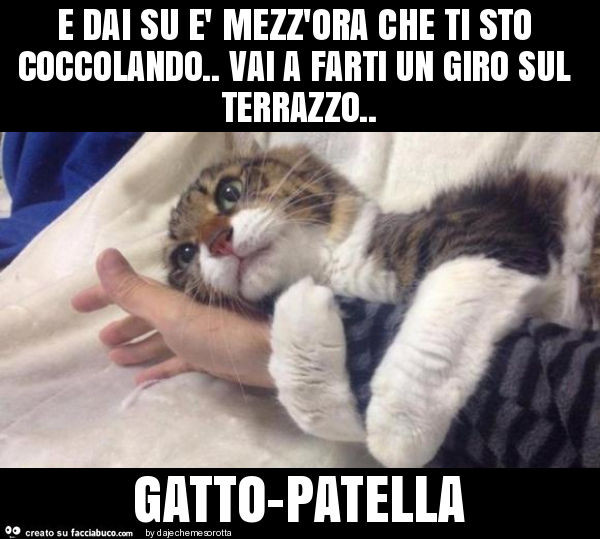 E dai su è mezz'ora che ti sto coccolando. Vai a farti un giro sul terrazzo. Gatto-patella