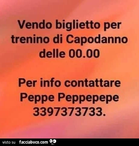 Vendo biglietto per trenino di capodanno delle 00.00 per info contattare peppe peppepepe 3397373733