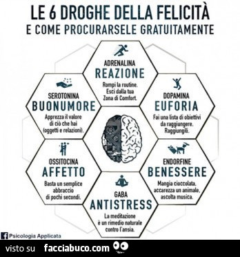 Le 6 droghe della felicità e come procurarsele gratuitamente