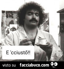 Vaccata