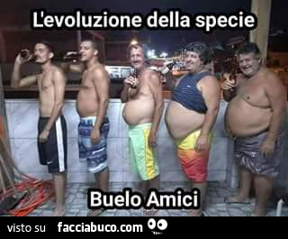 L'evoluzione della specie buelo amici