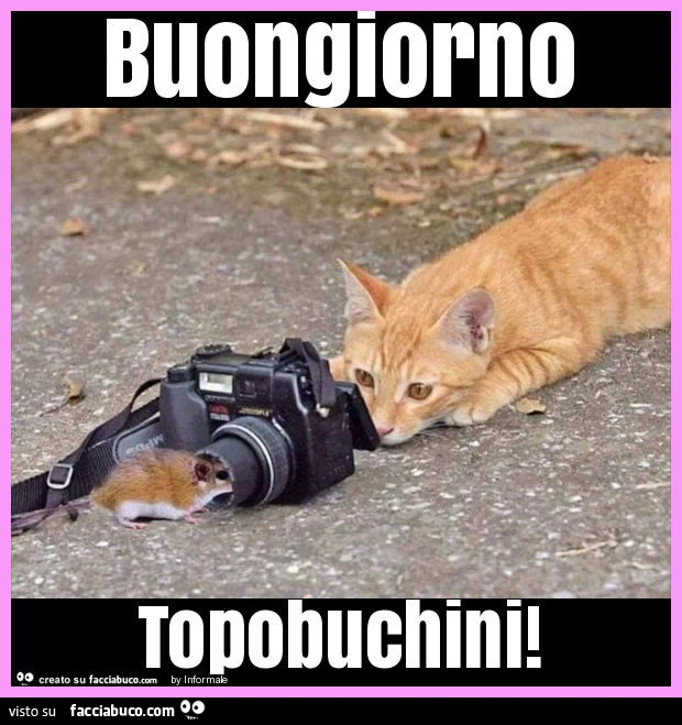 Buongiorno topobuchini